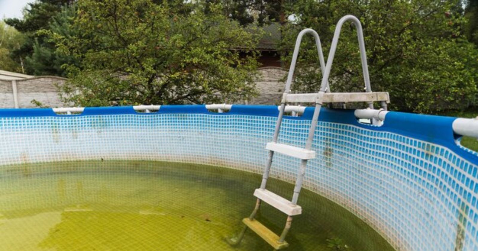 Featured image for “Common Pool Problems Solved by Learning How to Maintain a Saltwater Pool”