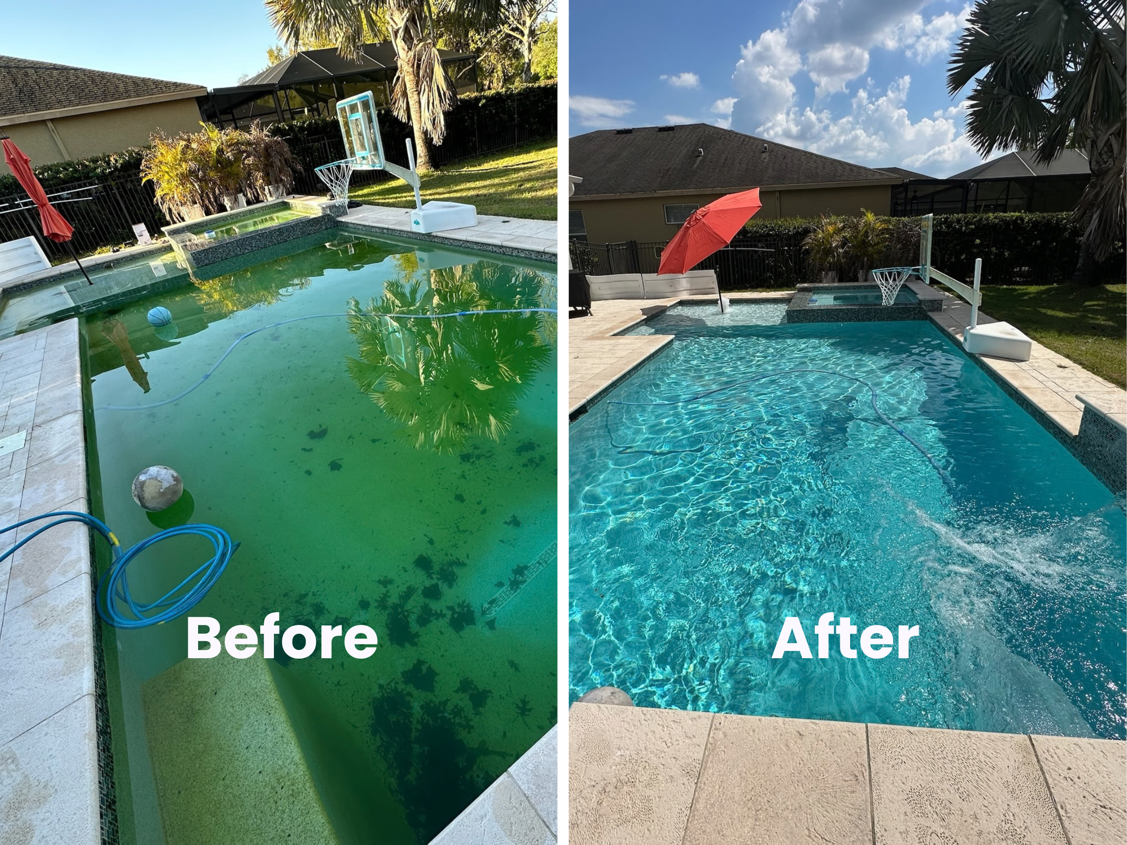 WTR DR technician maintaining a residential pool in the Tampa area